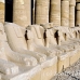 temple_karnak_lux_h_0036_egy1375.jpg